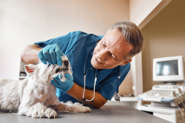 Best Tooth Pain Emergency Relief  in Asheboro, NC